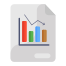 report icon