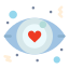 Eye