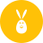 Bunny icon