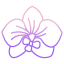 Orchid icon