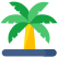 Coconut Tree icon