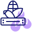 corn icon