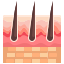 skin icon