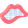 Lips icon