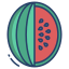 water melon icon