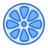 Citrus icon