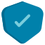 shield icon