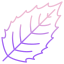 holly leaf icon