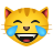 喜极而泣的猫 icon