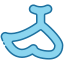 ca icon