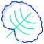 Watercress Leaf icon