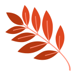 branch icon