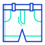 shorts icon