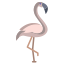 Flamant rose icon