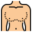 breast augmentation icon