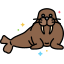 Walrus icon