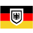 eagle flag icon