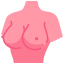 breast implant icon