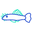 peixe ancistrus icon