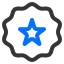 badge icon