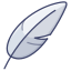 Feather icon