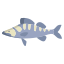 Zander Fish icon