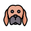 vizsla icon