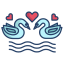 love swans icon