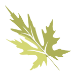 Maple leaf icon