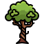 Baum icon