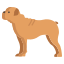 牛头犬 icon