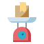 balance icon