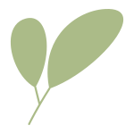 branch icon