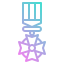 medal icon