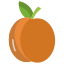 apricot icon