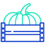 pumpkin icon