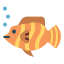 Butterfly Fish icon