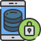 data icon
