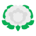 Cauliflower icon