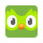 Duolingo Plus logo