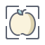 object recognition icon