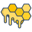 Honey Comb icon