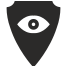 shield icon