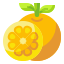 orange icon