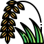 external-rice-thailand-element-justicon-lineal-color-justicon icon