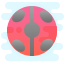 logo-coccinella icon