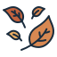 Dry Leaves icon