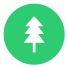 Fir Tree icon