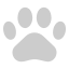 외부-동물-애완동물-샵-creatype-플랫-컬러creatype-26 icon