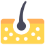 모낭 icon